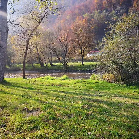Casute Zavoi Holiday home Bulz