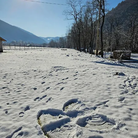 Casute Zavoi * Bulz